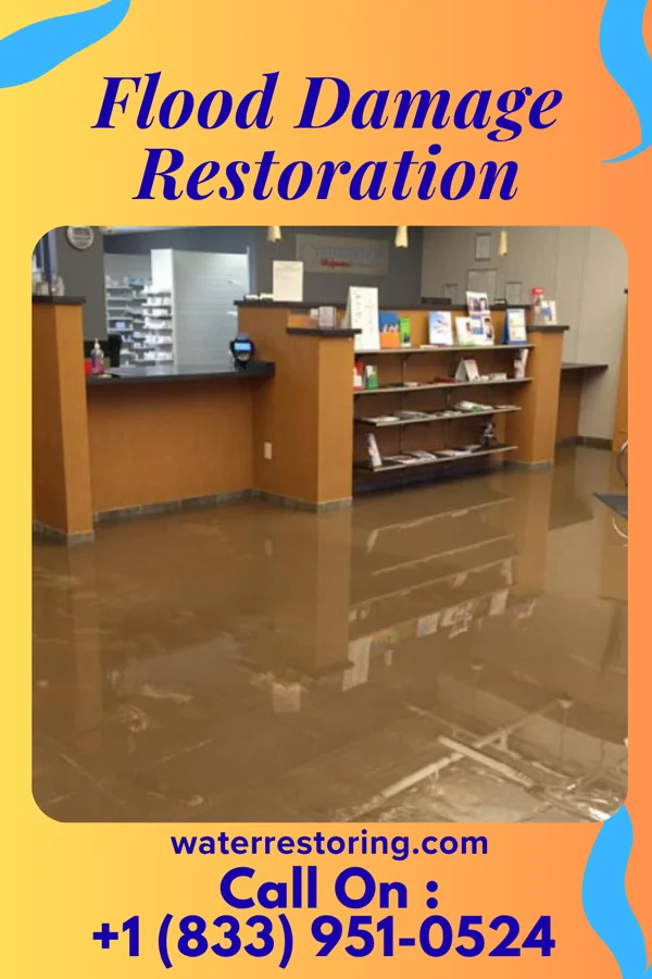 Flood Damage Restoration in Reidsville, NC